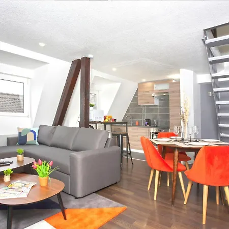 Duplex - Le Cosy - Hyper Centre Haguenau